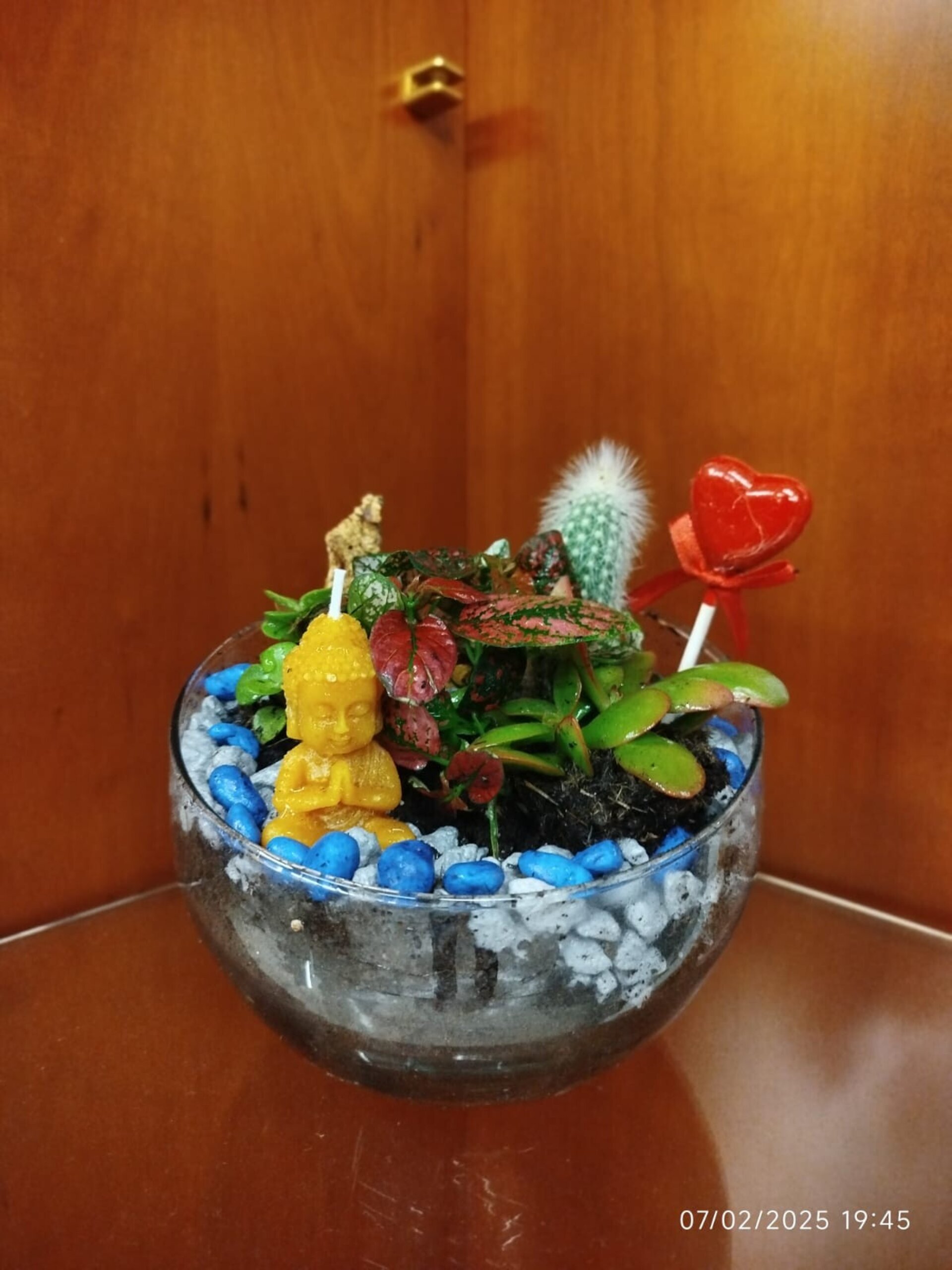 Terrario Zen - 2